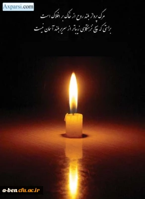 و بیقی وجه ربک ذوالجلال و الاکرام
ما ز بالاییم و بالا می رویم