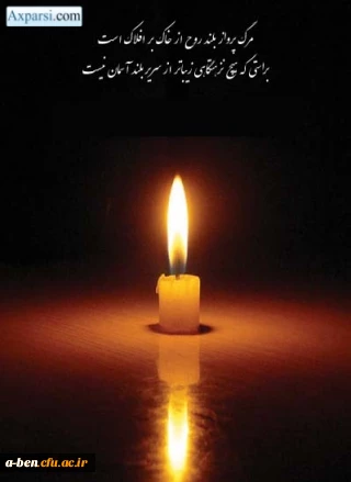 و بیقی وجه ربک ذوالجلال و الاکرام
ما ز بالاییم و بالا می رویم