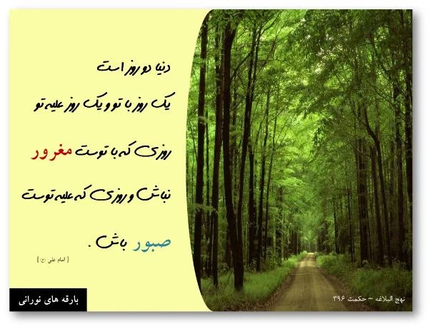 امام علی علیه السلام میفرمایند: