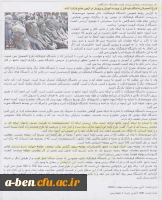 قطعیت برگزاری آزمون جامع