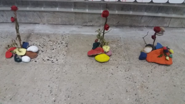 شاداب سازی سرای دانشجویی