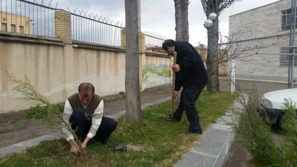 غرس نهال در پردیس بنت الهدی صدر اردبیل