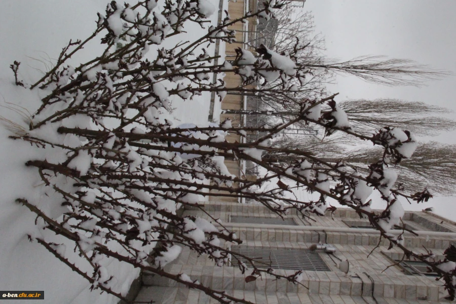 گزارش تصویری از اخرین روزهای برفی 94 در پردیس بنت الهدی صدر