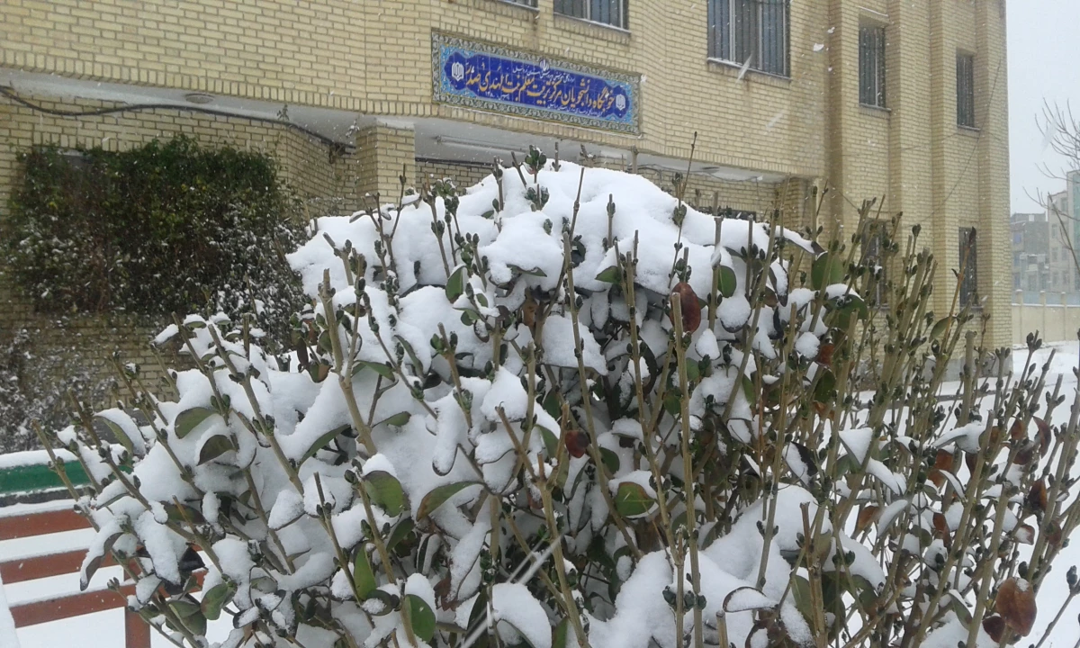 گزارش تصویری از اخرین روزهای برفی 94 در پردیس بنت الهدی صدر