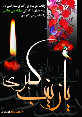 وفات حضرت زینب کبری(ع) اسوه صبر و استقامت تسلیت باد