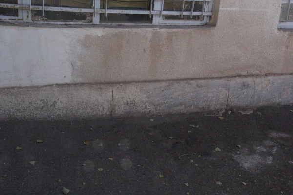 شاداب سازی محوطه پردیس توسط دانشجومعلمان