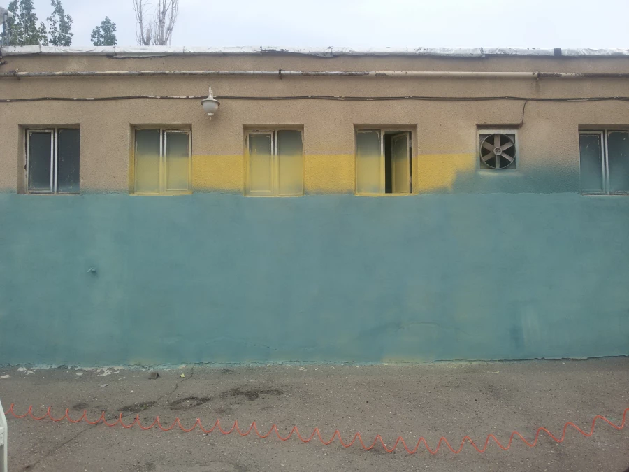 شاداب سازی محوطه پردیس توسط دانشجومعلمان