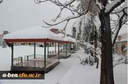 جلوه های زیبای برف در پردیس بنت الهدی صدر