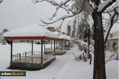 بارش سنگین برف در پنجمین روز آبان ماه 

جلوه های زیبا از محوطه پردیس بنت الهدی صدر