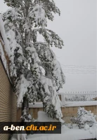 جلوه های زیبای برف در پردیس بنت الهدی صدر