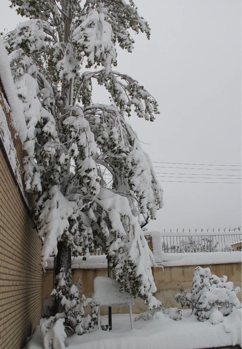 جلوه های زیبای برف در پردیس بنت الهدی صدر