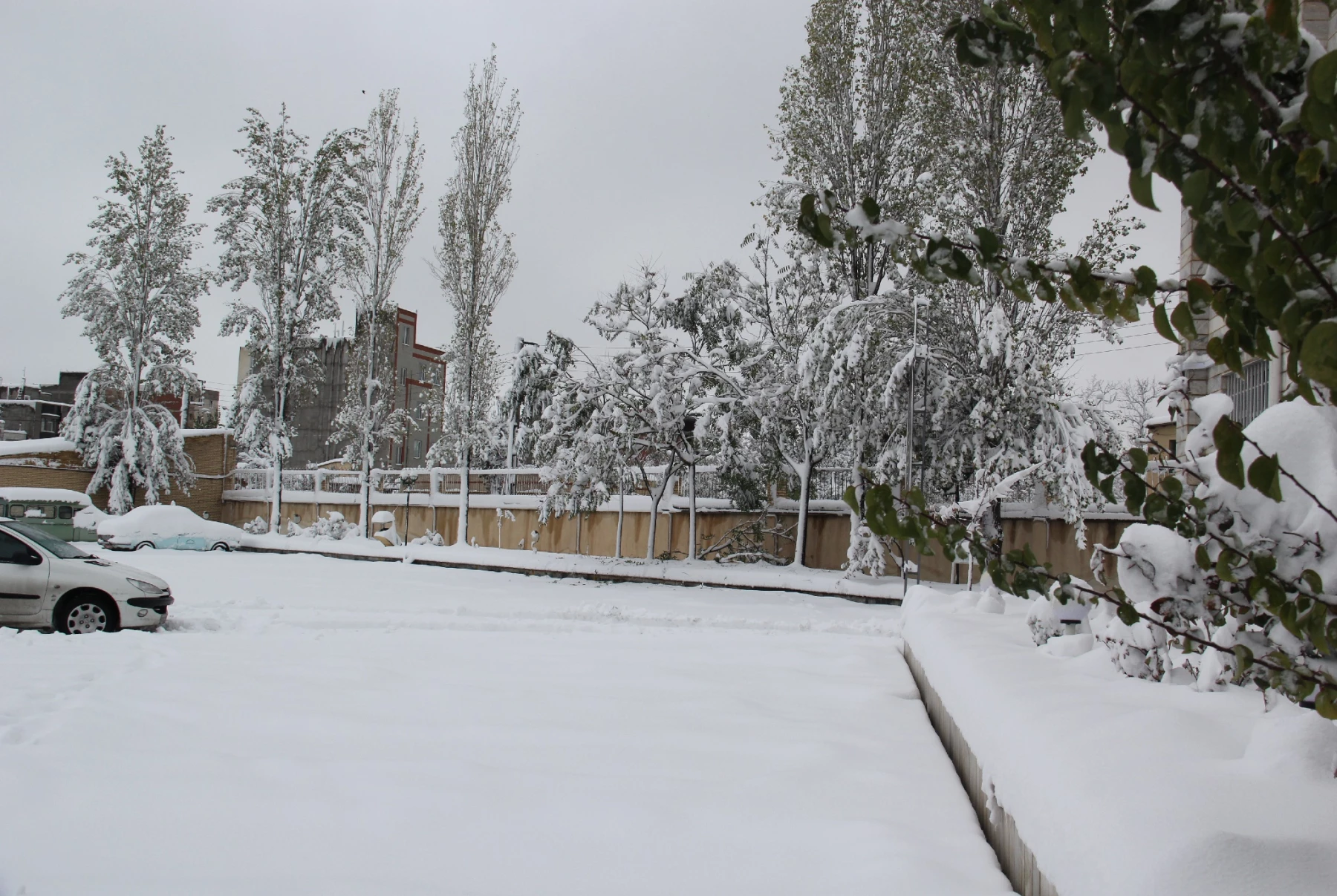 جلوه های زیبای برف در پردیس بنت الهدی صدر