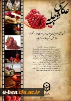 برگزاری مسابقه عکاسی به مناسبت شب یلدا