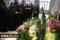 مجموعه گیاه شناسی پردیس بنت الهدی صدر به مناسبت روز درختکاری