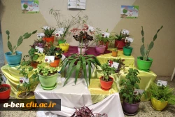 مجموعه گیاه شناسی پردیس بنت الهدی صدر به مناسبت روز درختکاری