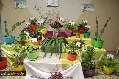 افتتاح مجموعه گیاه شناسی پردیس بنت الهدی صدر به مناسبت روز درختکاری