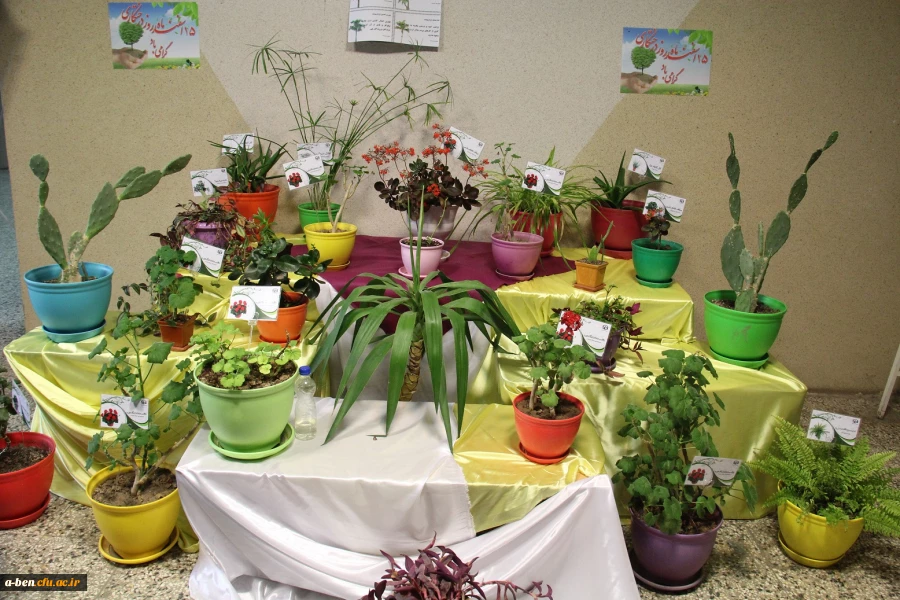 مجموعه گیاه شناسی پردیس بنت الهدی صدر به مناسبت روز درختکاری