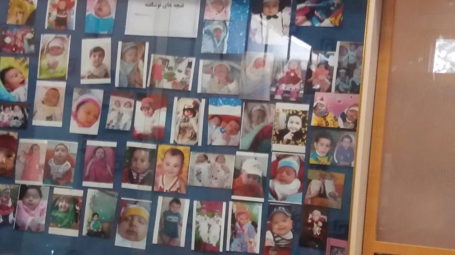 بازدید دانشجو معلمان پردیس از پژوهشگاه رویان استان