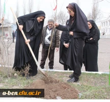 طرح کاشت نهال به یاد شهدای مدافع حرم استان اردبیل  به مناسبت روز درختکاری و روز بزرگداشت شهدا(22اسفند)  در محوطه پردیس