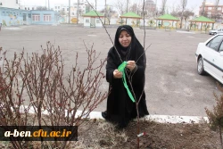 طرح کاشت نهال به یاد شهدای مدافع حرم استان اردبیل  به مناسبت روز درختکاری و روز بزرگداشت شهدا(22اسفند)  در محوطه پردیس