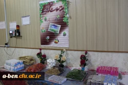 نمونه برنامه های اجرا شده در هفته سلامت