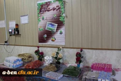 غرفه «دم نوش های گیاهی