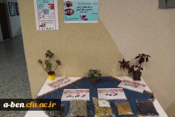 غرفه «دم نوش های گیاهی