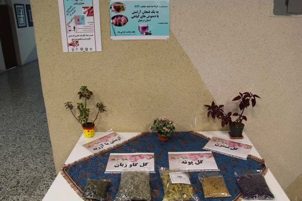 غرفه «دم نوش های گیاهی