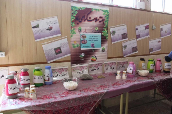 غرفه «دم نوش های گیاهی