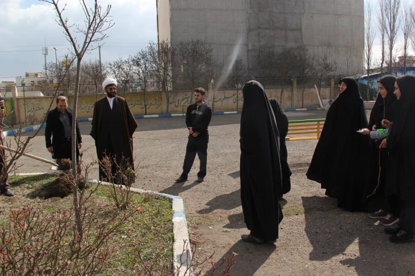 به مناسبت روز جهانی درختکاری، طرح تعویض کاغذ باطله با نهال