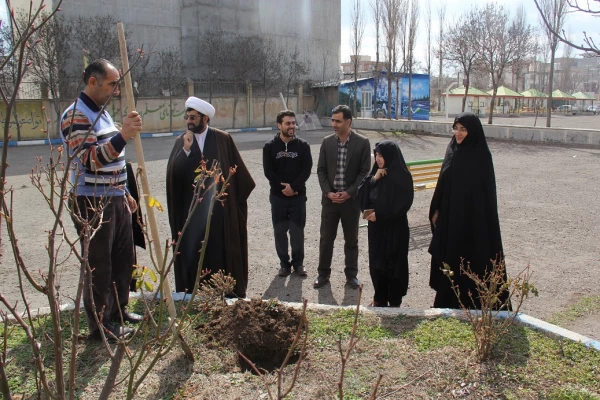 به مناسبت روز جهانی درختکاری، طرح تعویض کاغذ باطله با نهال