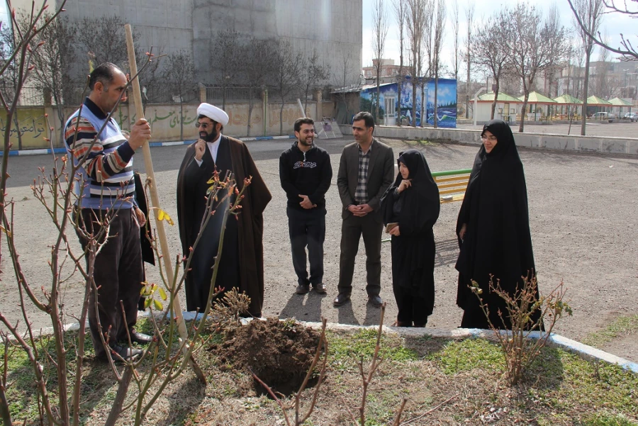 به مناسبت روز جهانی درختکاری، طرح تعویض کاغذ باطله با نهال