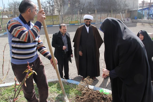 به مناسبت روز جهانی درختکاری، طرح تعویض کاغذ باطله با نهال