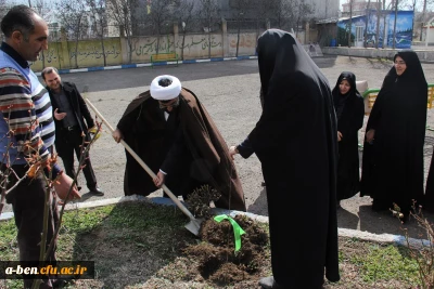 به مناسبت روز جهانی درختکاری:

طرح تعویض کاغذ باطله با نهال اجرا شد