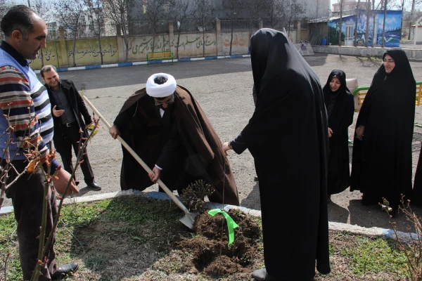 به مناسبت روز جهانی درختکاری، طرح تعویض کاغذ باطله با نهال