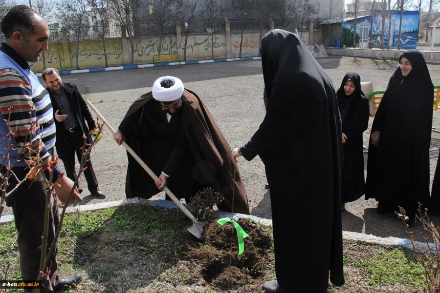 به مناسبت روز جهانی درختکاری، طرح تعویض کاغذ باطله با نهال