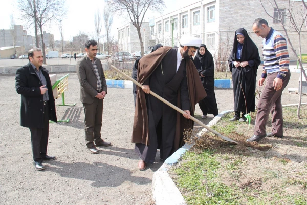 به مناسبت روز جهانی درختکاری، طرح تعویض کاغذ باطله با نهال