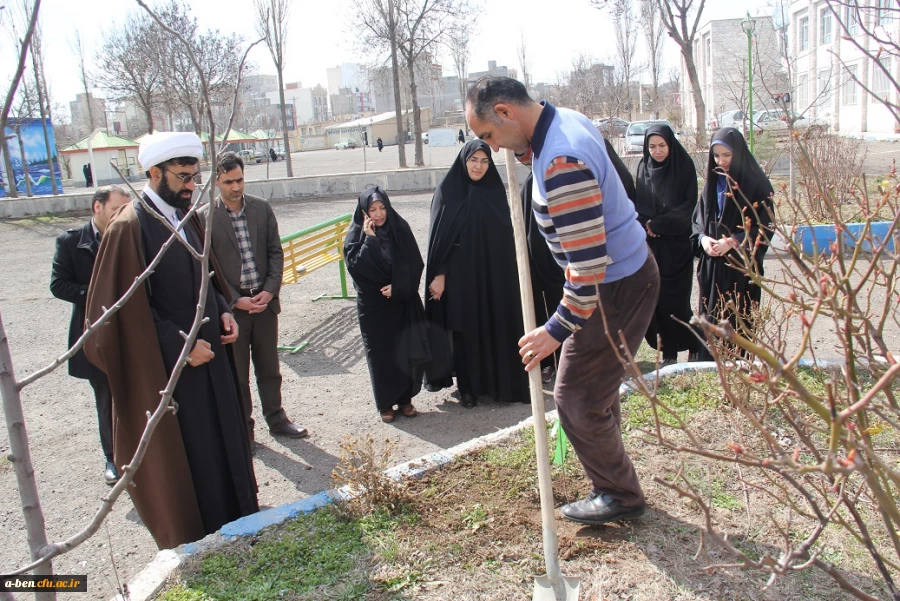به مناسبت روز جهانی درختکاری، طرح تعویض کاغذ باطله با نهال