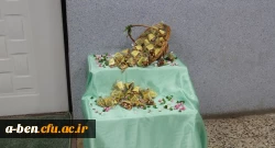  کارگاه الگوی تغذیه سالم با نگرش به طب اسلامی 